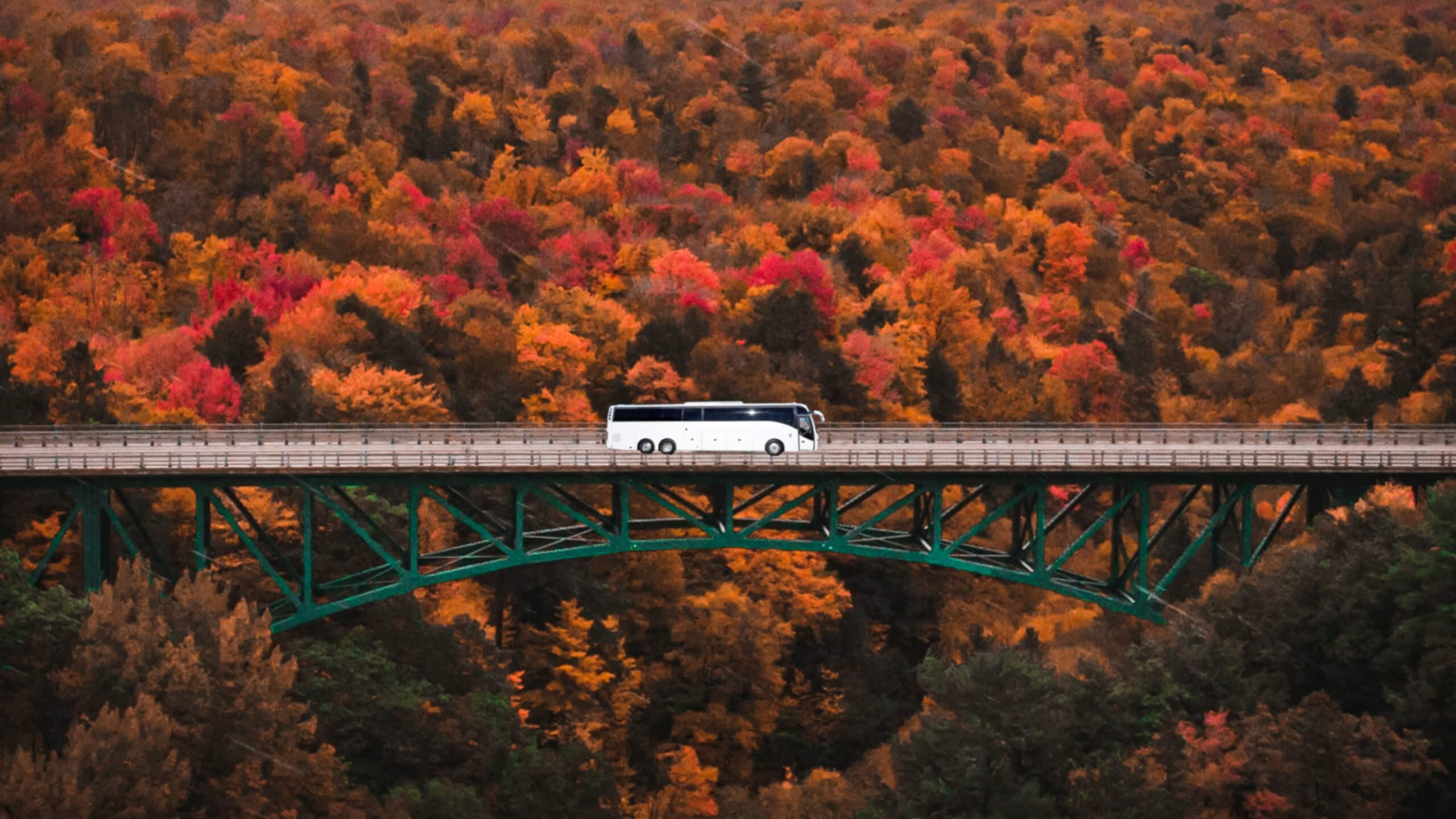 Hyra buss med chaufför i Stockholm för säker transport